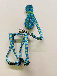 NEW Lead and Harness - Patterns