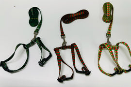Holiday Harness and Leads