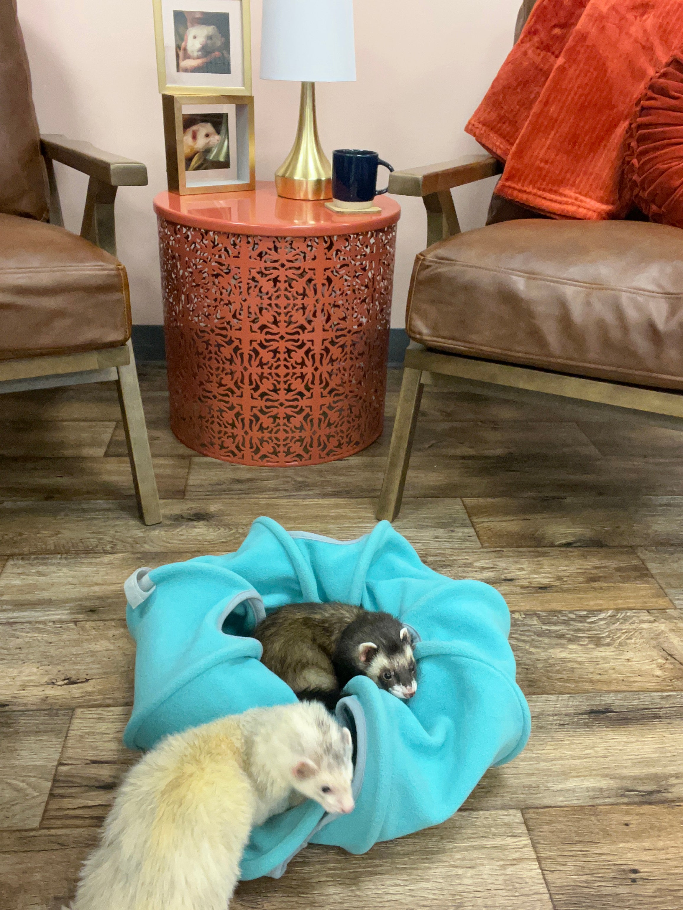 FerretGoRound Tunnel & Bed Ferret Depot