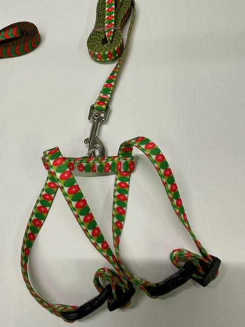 Holiday Harness and Leads